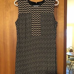 Pretty Black and Tan A-Line Dress